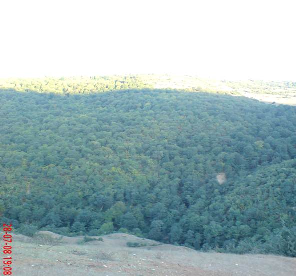 ولموزی